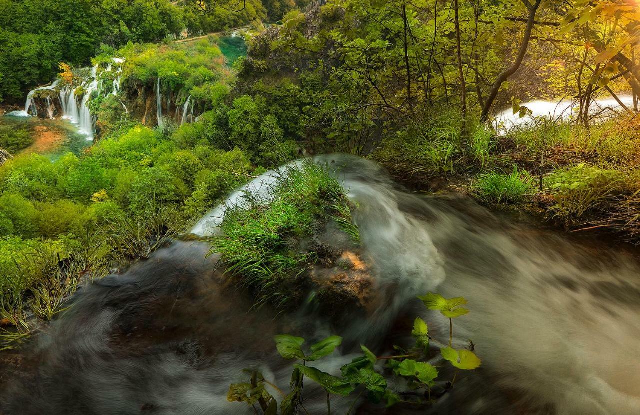 Apartman Lujko Plitvice Plitvicka Jezera Bagian luar foto